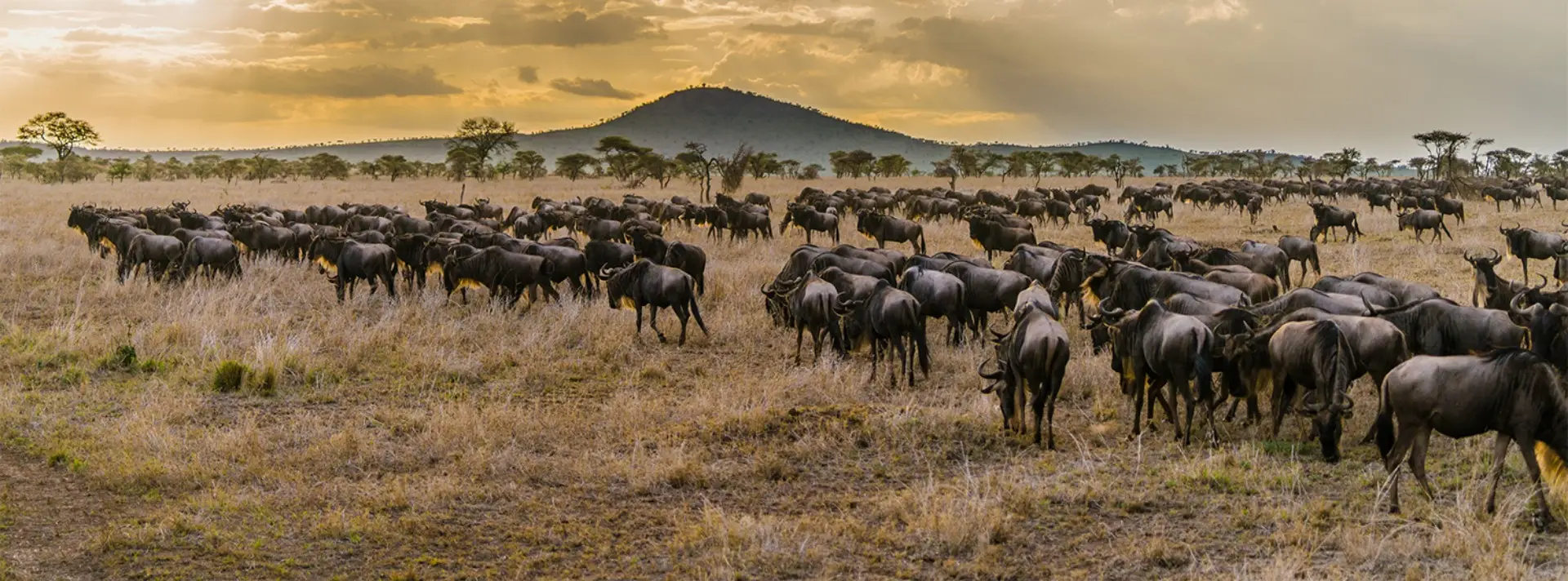 Tanzania