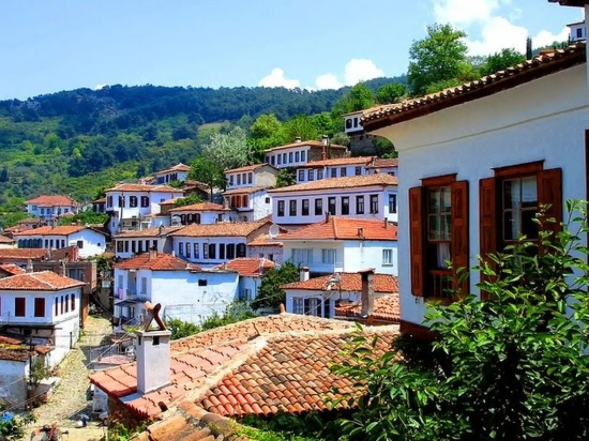 Things to do in Sirince 