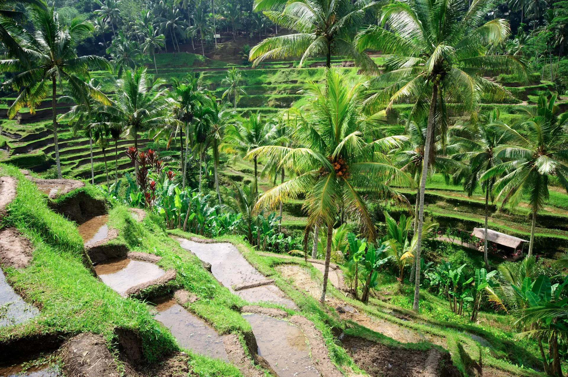 First Time in Bali - What to Do - 7 Days in Bali