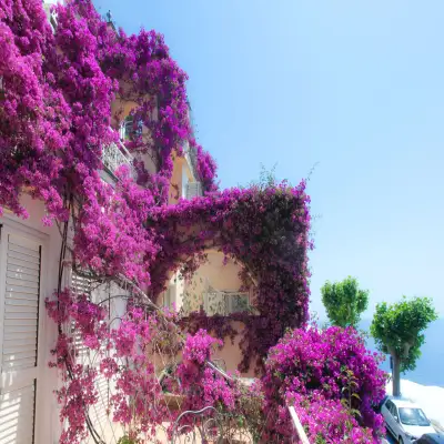 Positano Art Hotel Pasitea 