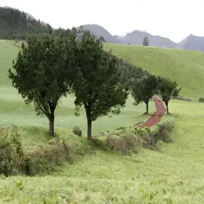 Pico do Refúgio - Ribeira Grande