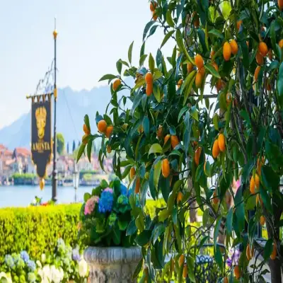 Villa E Palazzo Aminta - Lago Maggiore