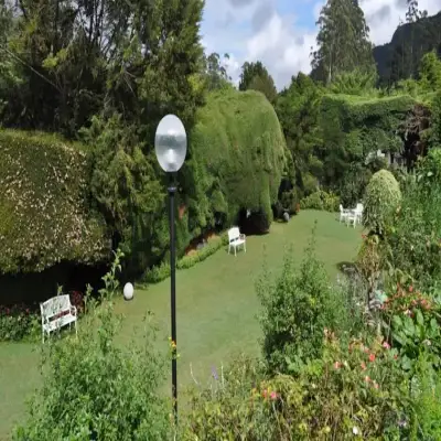 Royal Cocoon - Nuwara Eliya