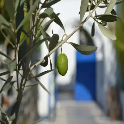 Su Hotel Bodrum