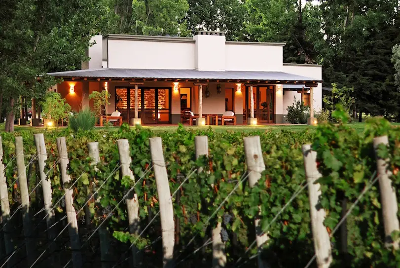 Algodon Wine Estates - San Rafael