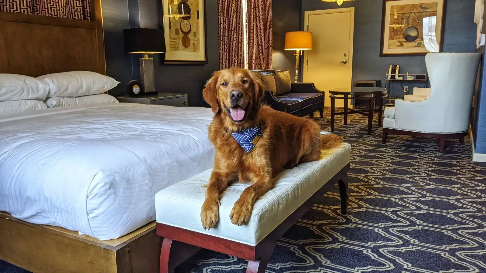 Pet Friendly Hotels