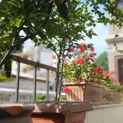 Faik Pasha Suites
